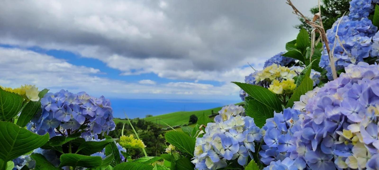 Quinta Da Espadana Povoacao  Kültér fotó